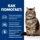 Hill's Prescription Diet Gastrointestinal Biome для кошек, c курицей 1,5 кг