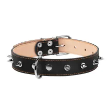 Collar двойной с шипами Black 35 мм, 48-63 см