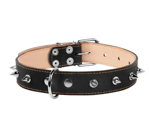 Collar двойной с шипами Black 35 мм, 48-63 см