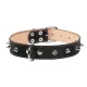 Collar двойной с шипами Black 35 мм, 48-63 см