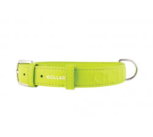 Collar Glamour Ошейник с объемной надписью салатовый, 25мм, 38-49см