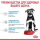 Royal Canin Maxi Starter, 4 кг