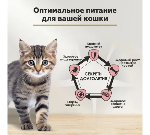 Secret Life Force для стерилизованных кошек (Утка в соусе), 85 г х 24 шт