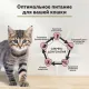 Secret Life Force для стерилизованных кошек (Утка в соусе), 85 г х 24 шт
