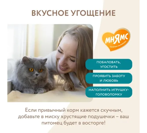 Мнямс Хрустящие подушечки для стерилизованных кошек Профилактика МКБ, 60 г