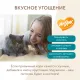 Мнямс Хрустящие подушечки для стерилизованных кошек Профилактика МКБ, 60 г