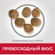 Hill's Science Plan для котят для здорового роста и развития (курица) 7 кг