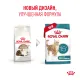 Royal Canin Ageing 15+ Feline, 400 г