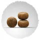 Josera Young Star Junior, 12,5 кг