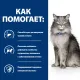 Hill's Prescription Diet l/d Liver Care для кошек (Курица) 1,5 кг