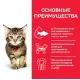 Hill's Science Plan для котят для здорового роста и развития (курица) 7 кг