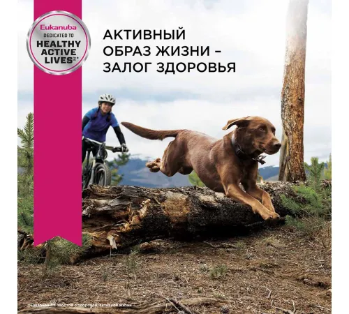 Eukanuba Senior 7+ Large (Птица), 4 кг