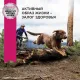 Eukanuba Senior 7+ Large (Птица), 4 кг