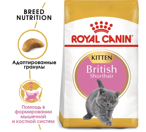 Royal Canin British Shorthair Kitten 400 г