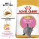 Royal Canin British Shorthair Kitten 400 г