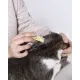 Агроветзащита Барс ФОРТЕ капли для котят, 1 пипетка