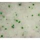 Sanicat Professional силикагелевый (Aloe Vera) 15 л