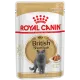 Royal Canin British Shorthair Adult (соус), 85 г 28 шт (уп)