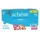 Schesir C&B Adult Cat Box (Тунец в бульоне), 50 г х 6 шт