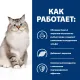 Hill's Prescription Diet j/d Joint Care для кошек (Курица), 1,5 кг