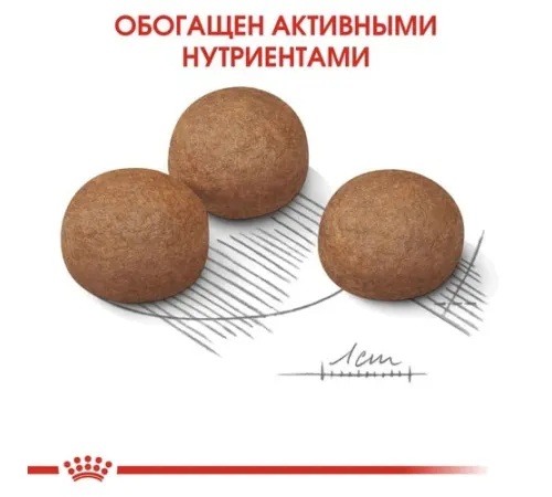 Royal Canin Maxi Digestive Care, 3 кг