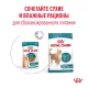 Royal Canin Ageing 15+ (соус), 85 г