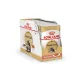 Royal Canin Maine Coon Adult (соус), 85 гр