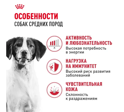 Royal Canin Medium Adult, 3 кг