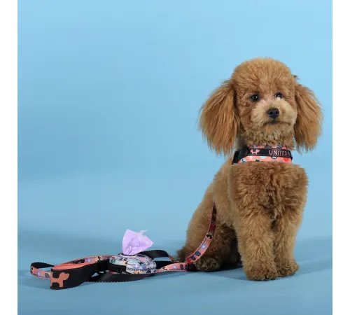 United Pets Шлейка Complete me Forever, оранжевая с рисунком, 1,5 x 34-42 см