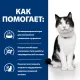 Hill's Prescription Diet i/d Digestive Care для кошек (курица), 400 г