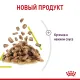Royal Canin Sensory Smell (соус) 85 г