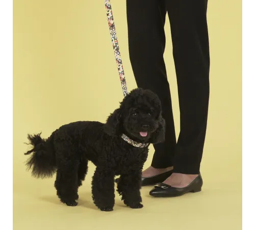 United Pets Поводок Complete me, разноцветный рисунок, 20 мм, 140 см
