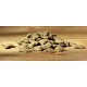 Happy Dog Wellness Snack, 100 г