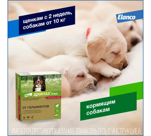 Elanco Дронтал Плюс XL, 1 таб