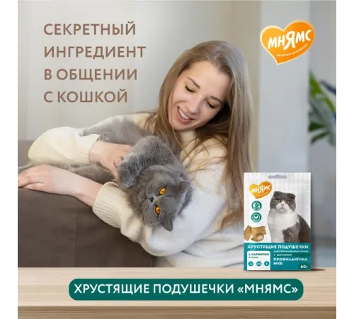 Мнямс Хрустящие подушечки для стерилизованных кошек Профилактика МКБ, 60 г