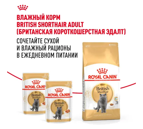 Royal Canin British Shorthair Adult, 400 г