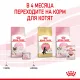 Royal Canin Mother & Babycat (мусс), 195 г