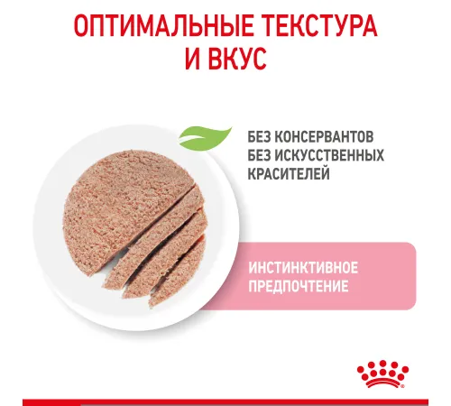 Royal Canin Kitten (паштет) 85 гр