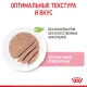 Royal Canin Kitten (паштет) 85 гр