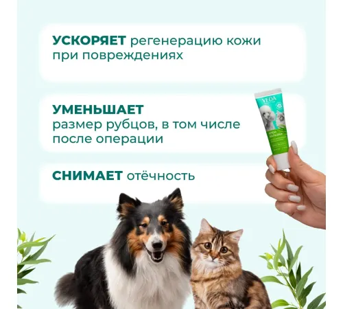 VEDA Фитоэлита с ранозаживляющим фитокомплексом, 30 мл