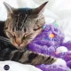 Catstages Игрушка для кошек Мурчащая подушка, 30 см