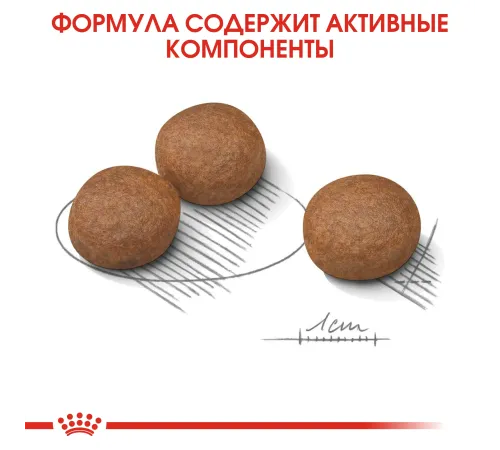 Royal Canin Medium Digestive Care, 3 кг