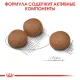 Royal Canin Medium Digestive Care, 3 кг