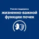 Hill's Prescription Diet k/d Early Stage для собак, 1,5 кг