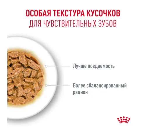 Royal Canin Ageing 15+ (соус), 85 г