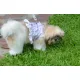 Doggy Dolly Жилет-шлея DCL127 S