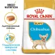 Royal Canin Chihuahua Puppy, 500 г
