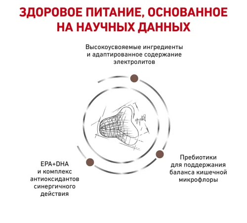 Royal Canin Gastrointestinal Fibre Response, 350 г
