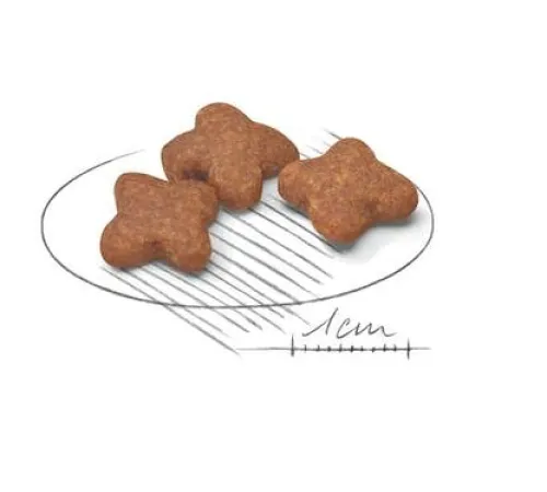 Royal Canin Mini Adult 8+ 2 кг