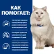 Hill's Prescription Diet c/d Multicare Urinary Stress для кошек, с курицей, 8 кг